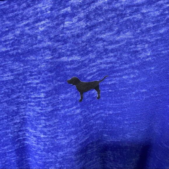 Pink Victoria's Secret Sheer Short Sleeve (Long) - Picture 6 of 6